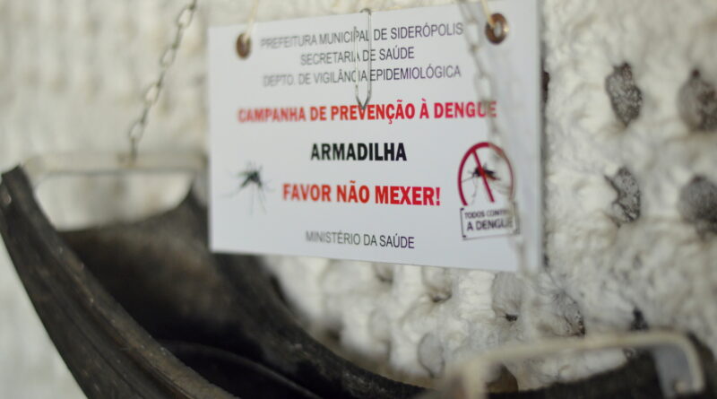 Siderópolis orienta população sobre como diferenciar o mosquito da dengue